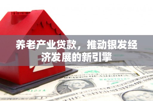 吕梁养老产业贷款，推动银发经济发展的新引擎