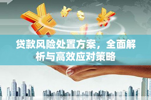 吕梁贷款风险处置方案，全面解析与高效应对策略