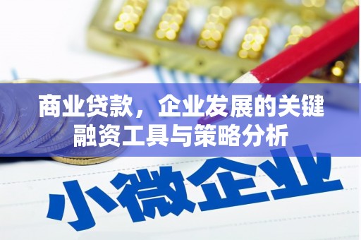 吕梁商业贷款，企业发展的关键融资工具与策略分析