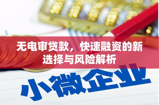 吕梁无电审贷款，快速融资的新选择与风险解析