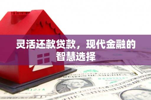 吕梁灵活还款贷款，现代金融的智慧选择