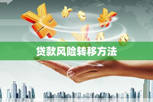 吕梁贷款风险转移方法