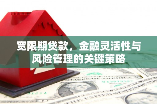 吕梁宽限期贷款，金融灵活性与风险管理的关键策略