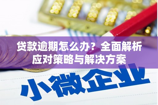 吕梁贷款逾期怎么办？全面解析应对策略与解决方案