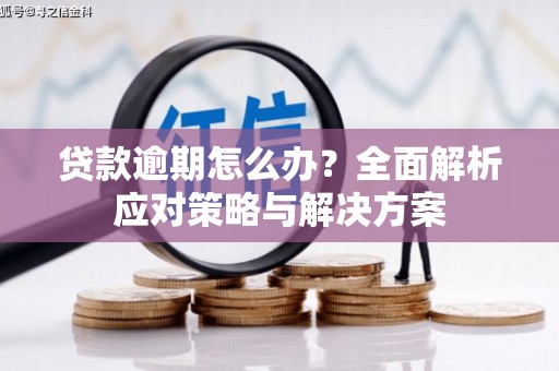 吕梁贷款逾期怎么办？全面解析应对策略与解决方案