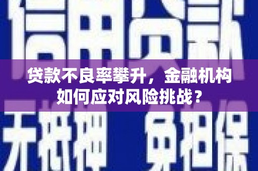 吕梁贷款不良率攀升，金融机构如何应对风险挑战？