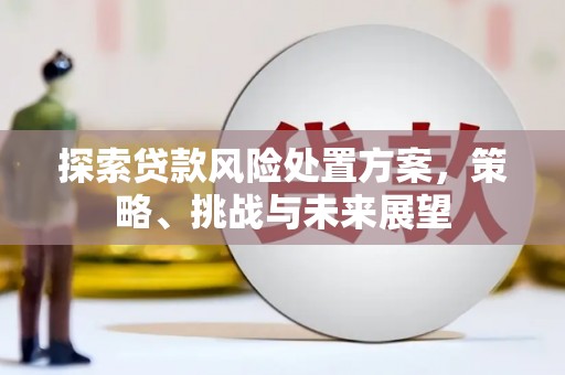 吕梁探索贷款风险处置方案，策略、挑战与未来展望