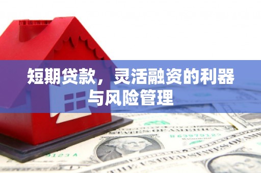 吕梁短期贷款，灵活融资的利器与风险管理
