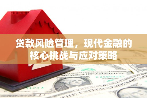 吕梁贷款风险管理，现代金融的核心挑战与应对策略