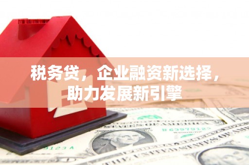 吕梁税务贷，企业融资新选择，助力发展新引擎