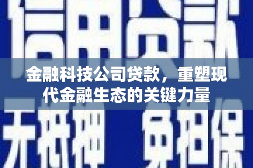 吕梁金融科技公司贷款，重塑现代金融生态的关键力量