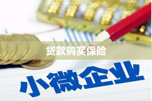 吕梁贷款购买保险