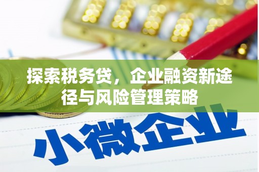 吕梁探索税务贷，企业融资新途径与风险管理策略
