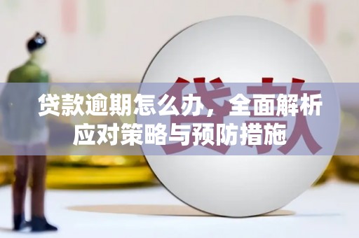吕梁贷款逾期怎么办，全面解析应对策略与预防措施