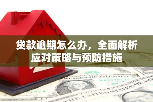 吕梁贷款逾期怎么办，全面解析应对策略与预防措施