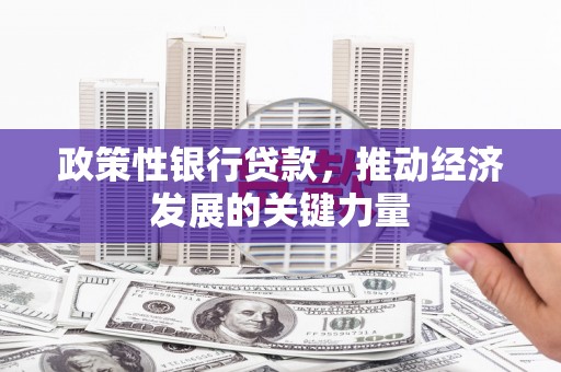 吕梁政策性银行贷款，推动经济发展的关键力量