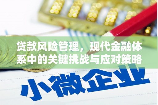 吕梁贷款风险管理，现代金融体系中的关键挑战与应对策略