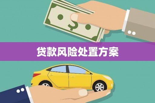 吕梁贷款风险处置方案