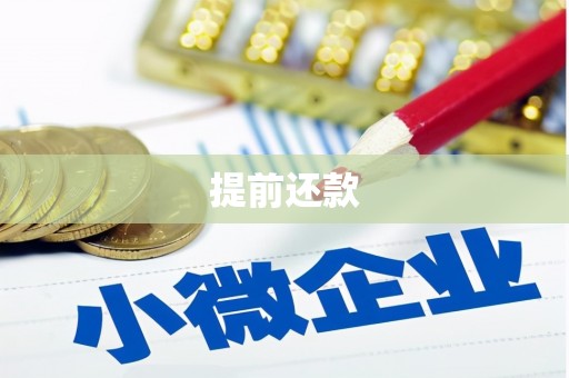 吕梁提前还款