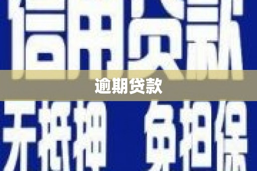 吕梁逾期贷款
