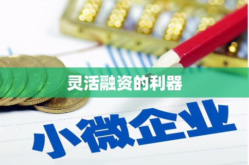 吕梁灵活融资的利器