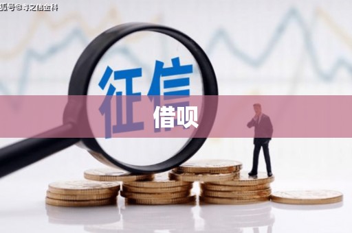 吕梁借呗