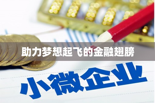 吕梁助力梦想起飞的金融翅膀