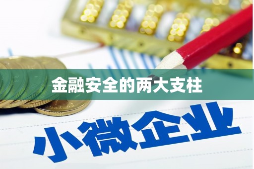 吕梁金融安全的两大支柱
