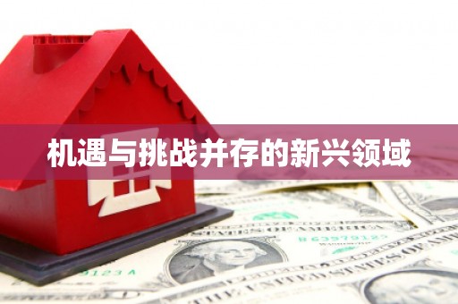 吕梁机遇与挑战并存的新兴领域