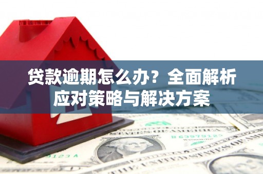 吕梁贷款逾期怎么办？全面解析应对策略与解决方案