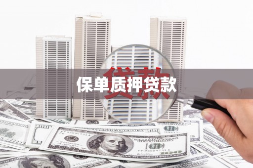 吕梁保单质押贷款
