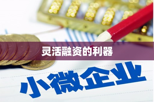 吕梁灵活融资的利器
