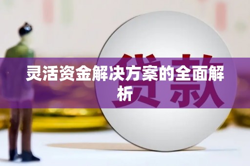吕梁灵活资金解决方案的全面解析