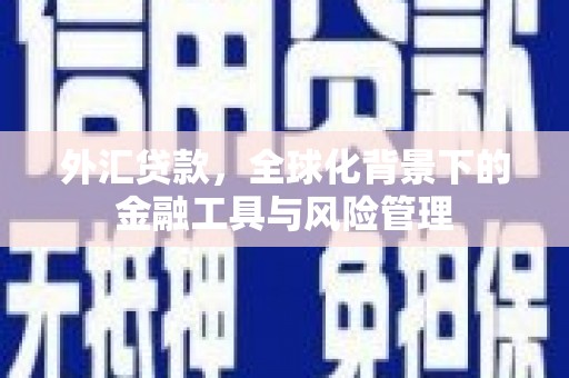 吕梁外汇贷款，全球化背景下的金融工具与风险管理